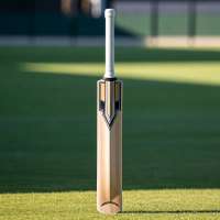 Wooden cricket bat on a green field – essential cricket equipment for batting.
