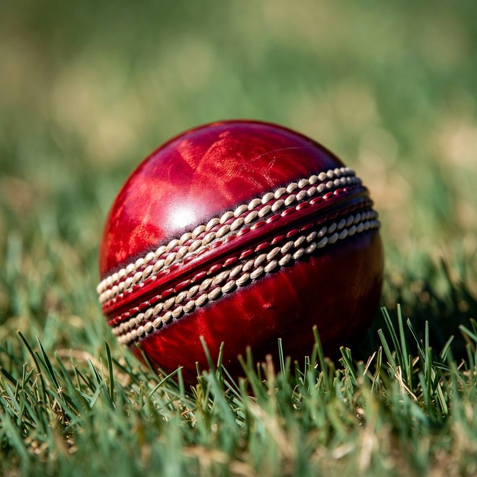 best Cricket Ball