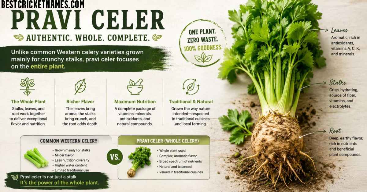 Pravi Celer